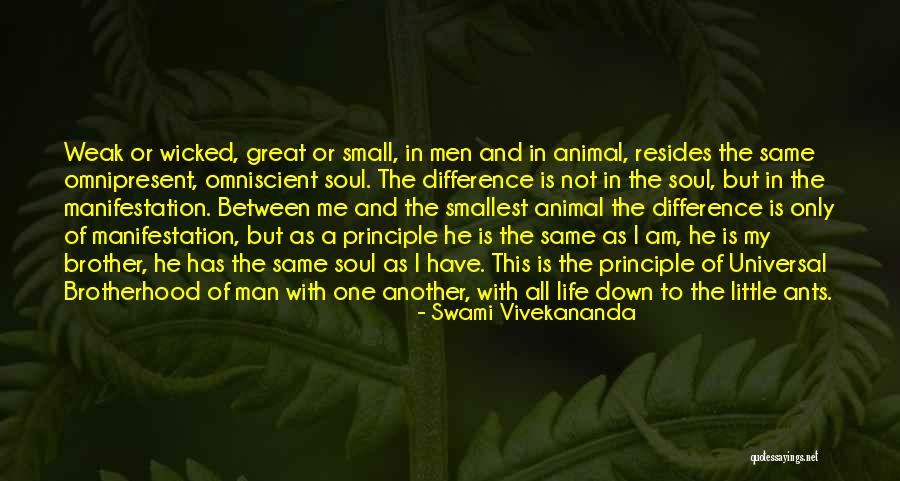 A Brotherhood Quotes By Swami Vivekananda