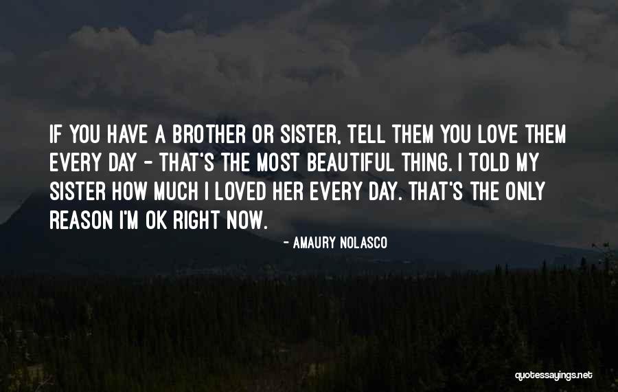 A Brother's Love For His Sister Quotes By Amaury Nolasco