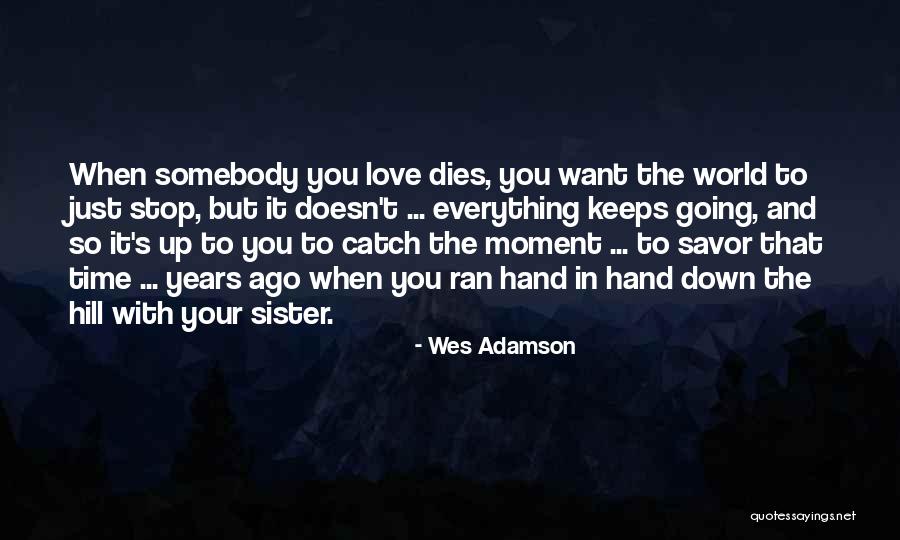 A Brother's Love For His Sister Quotes By Wes Adamson