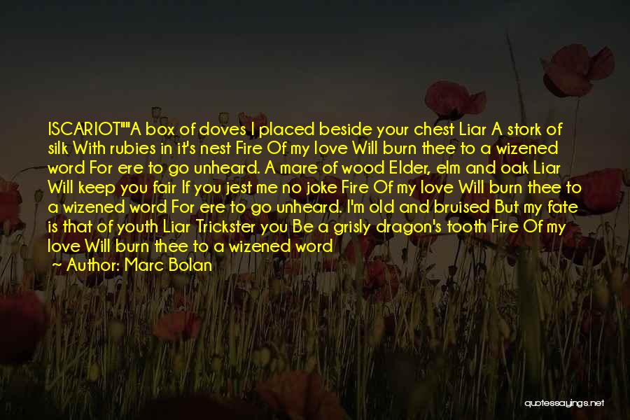 A Bruised Heart Quotes By Marc Bolan