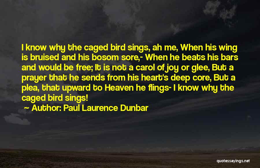 A Bruised Heart Quotes By Paul Laurence Dunbar
