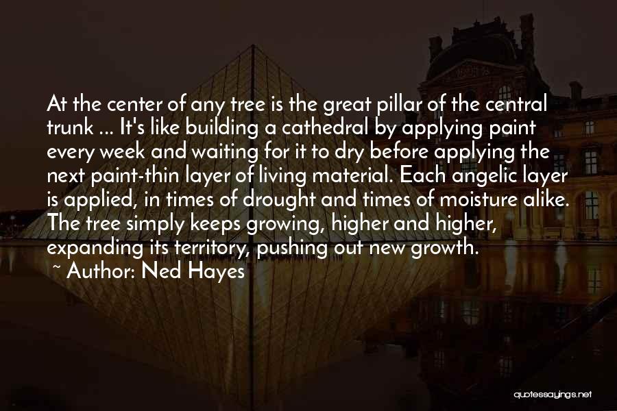 A Building Quotes By Ned Hayes