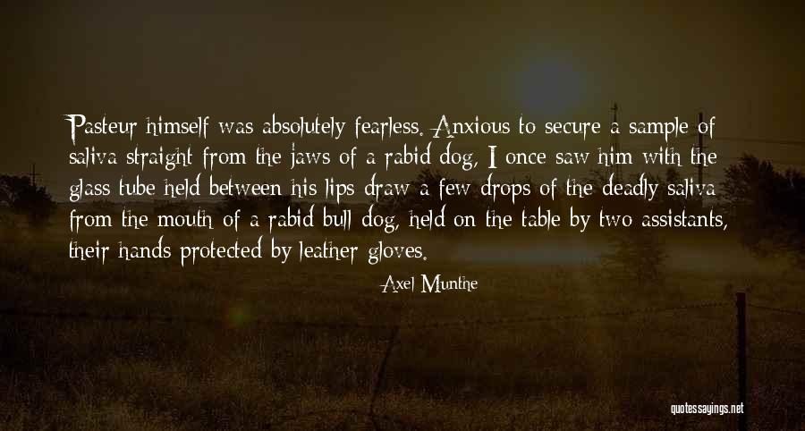 A Bull Quotes By Axel Munthe A Bull Quotes By Axel Munthe