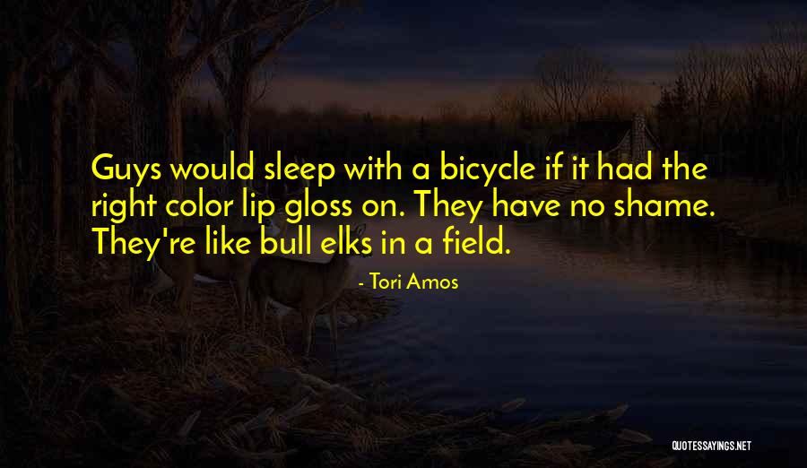 A Bull Quotes By Tori Amos A Bull Quotes By Tori Amos