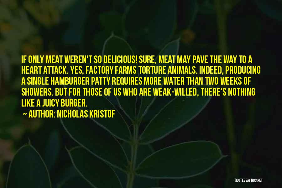 A Burger Quotes By Nicholas Kristof