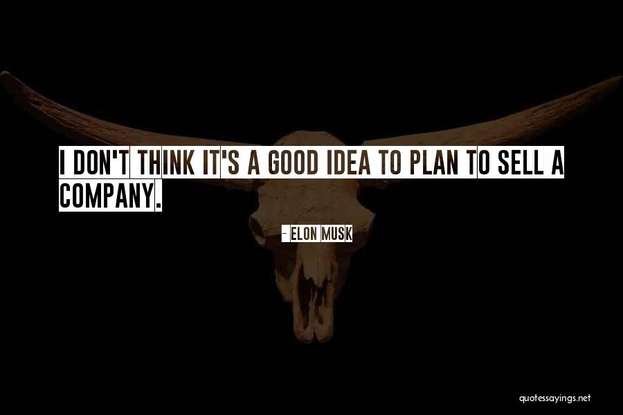 A Business Plan Quotes By Elon Musk