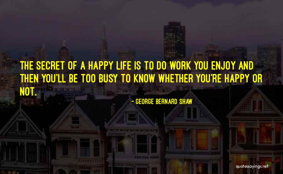 A Busy Life Quotes By George Bernard Shaw A Busy Life Quotes By George Bernard Shaw