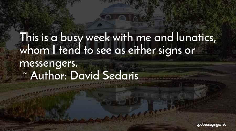 A Busy Week Quotes By David Sedaris