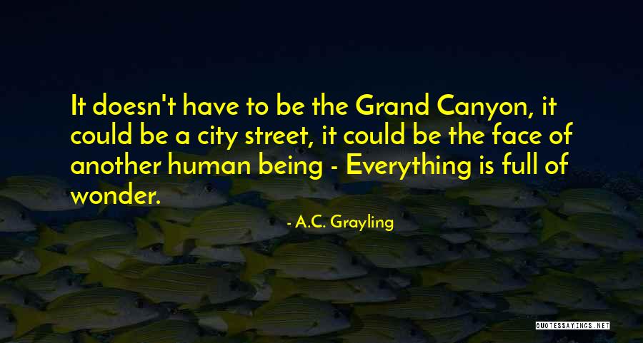 A.C. Grayling Quotes 1252304