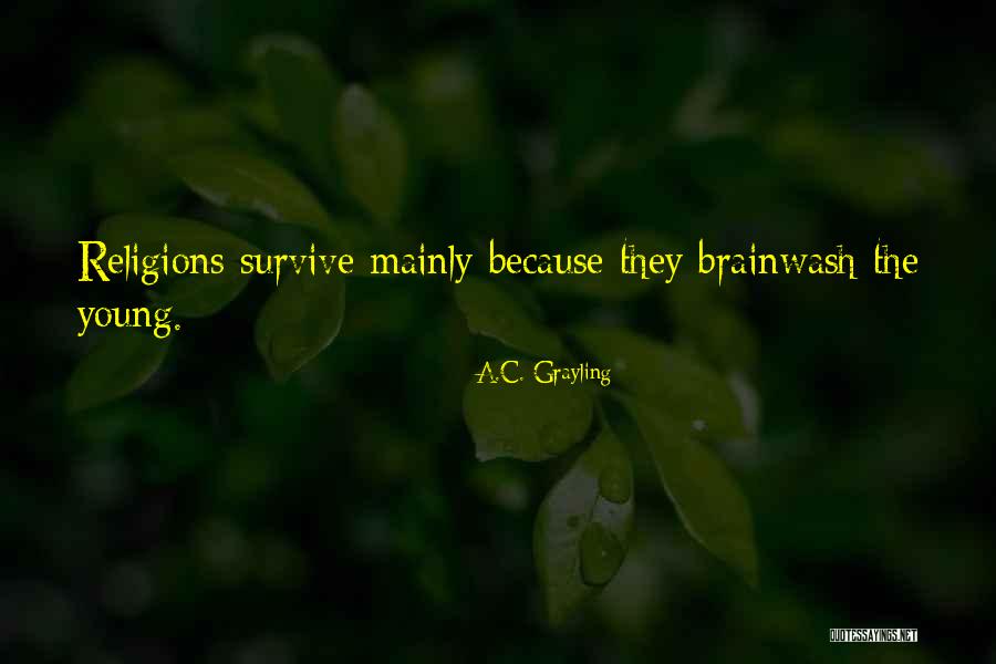 A.C. Grayling Quotes 990694