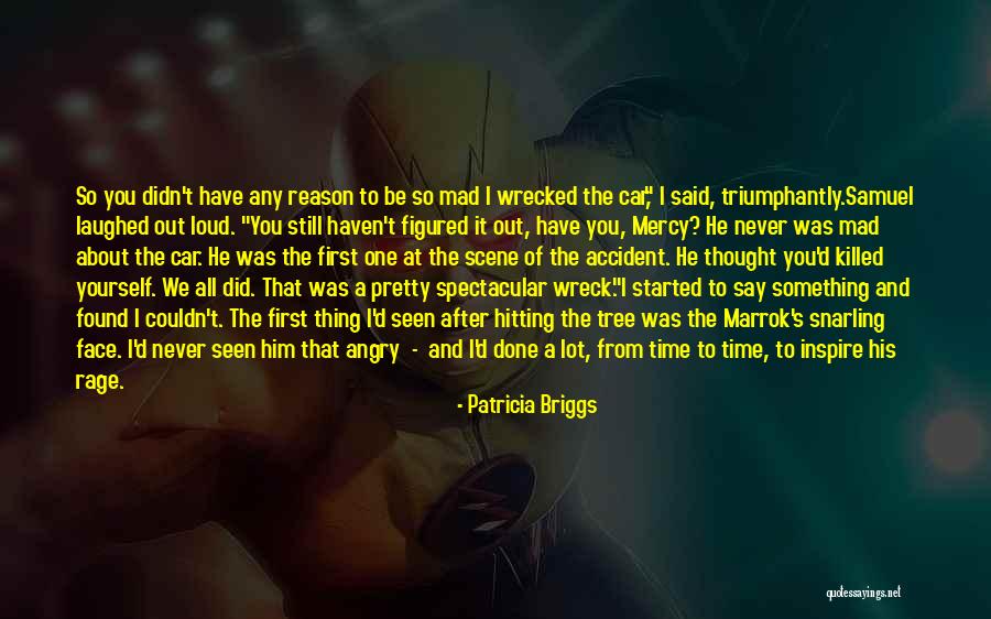 A Car Accident Quotes By Patricia Briggs