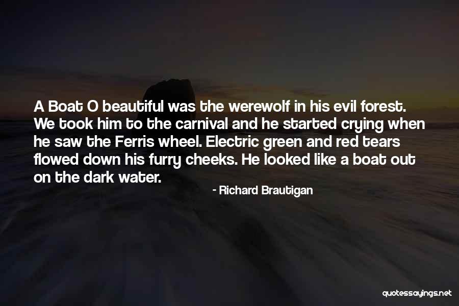A Carnival Quotes By Richard Brautigan A Carnival Quotes By Richard Brautigan