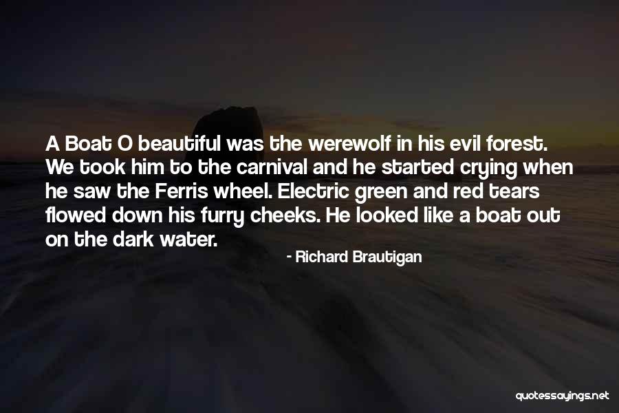 A Carnival Quotes By Richard Brautigan