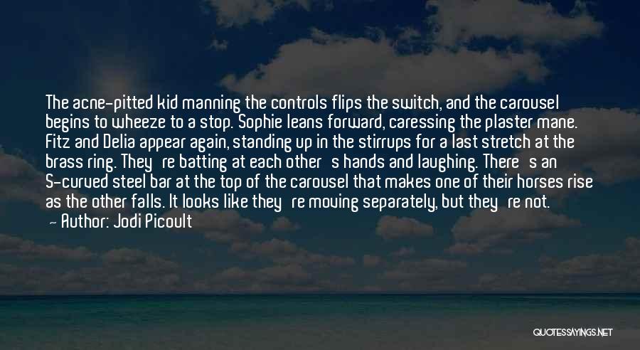 A Carousel Quotes By Jodi Picoult