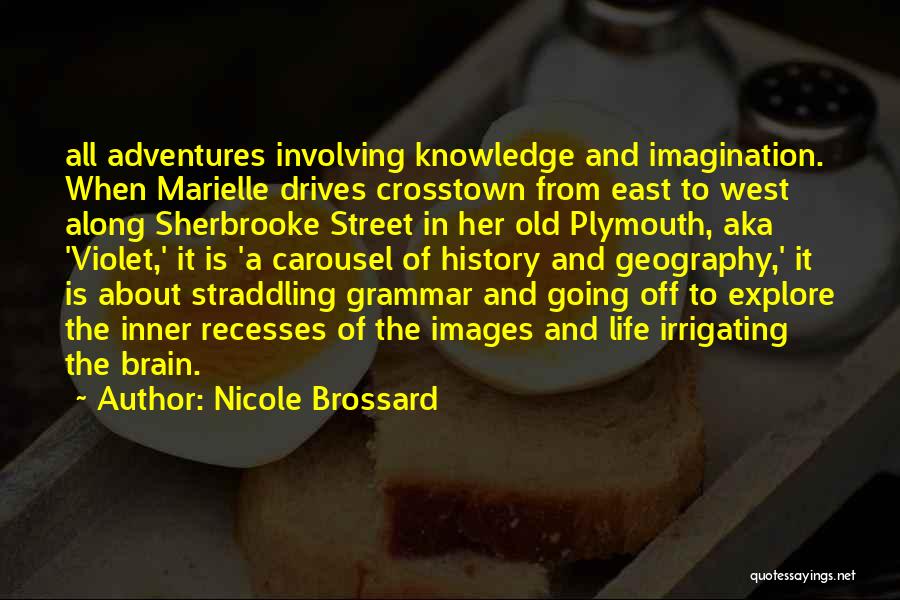 A Carousel Quotes By Nicole Brossard