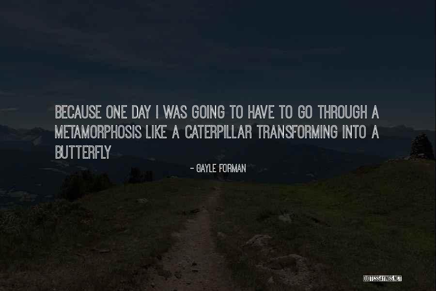 A Caterpillar Quotes By Gayle Forman A Caterpillar Quotes By Gayle Forman
