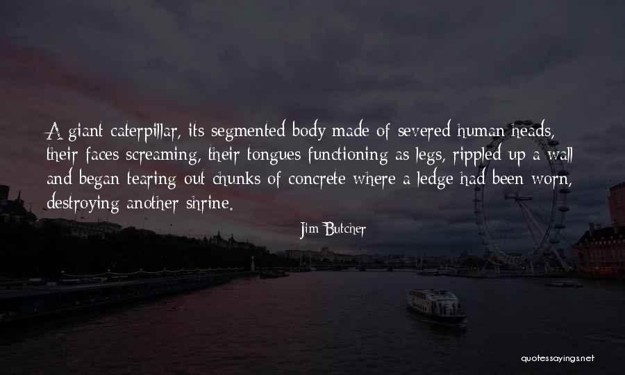 A Caterpillar Quotes By Jim Butcher A Caterpillar Quotes By Jim Butcher