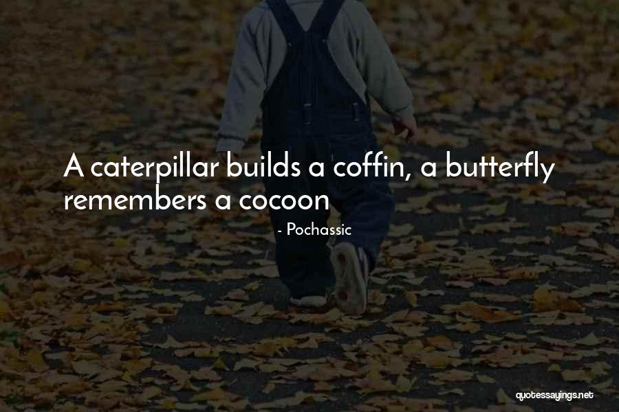 A Caterpillar Quotes By Pochassic A Caterpillar Quotes By Pochassic