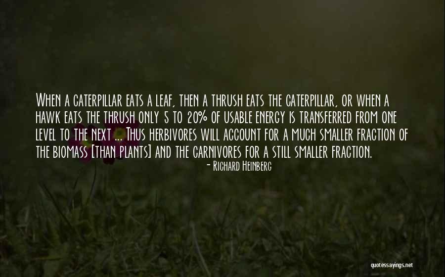 A Caterpillar Quotes By Richard Heinberg A Caterpillar Quotes By Richard Heinberg