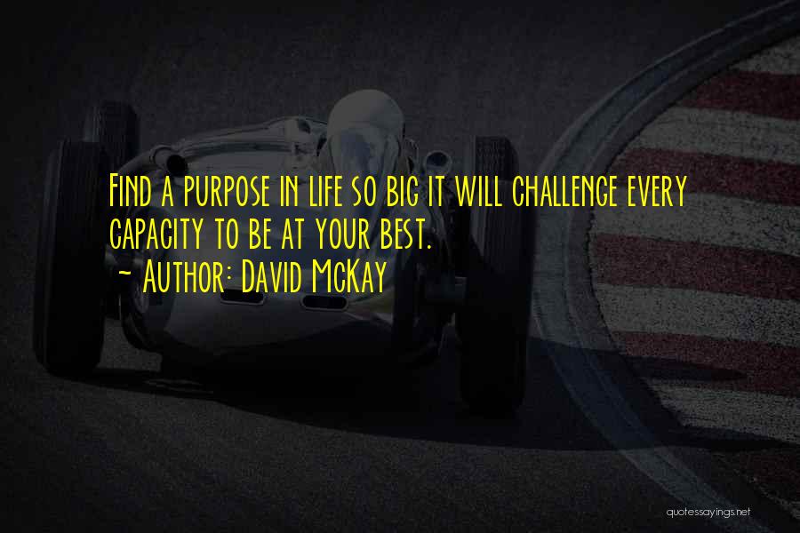 A Challenge In Life Quotes By David McKay