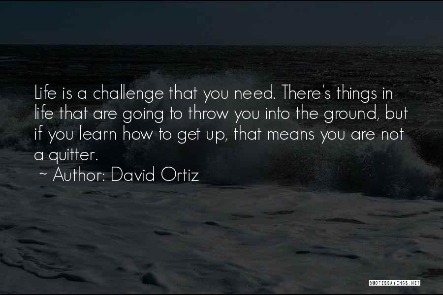 A Challenge In Life Quotes By David Ortiz