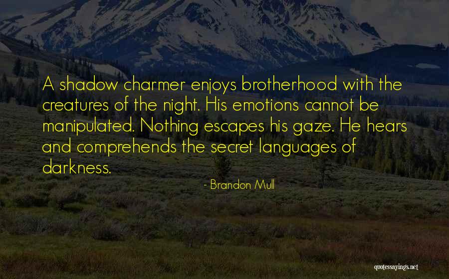 A Charmer Quotes By Brandon Mull A Charmer Quotes By Brandon Mull