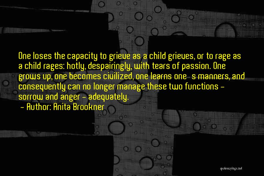A Child Growing Up Quotes By Anita Brookner