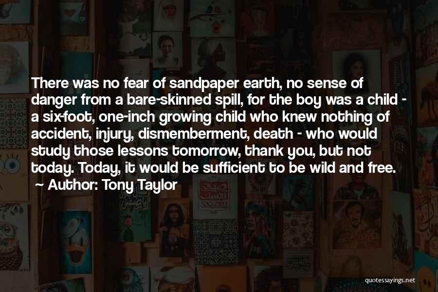 A Child Growing Up Quotes By Tony Taylor