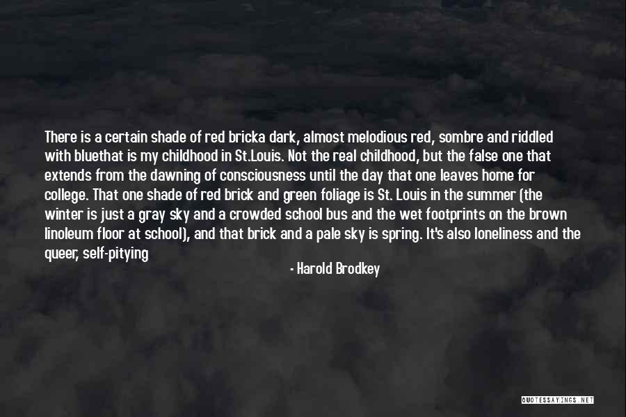 A Childhood Home Quotes By Harold Brodkey