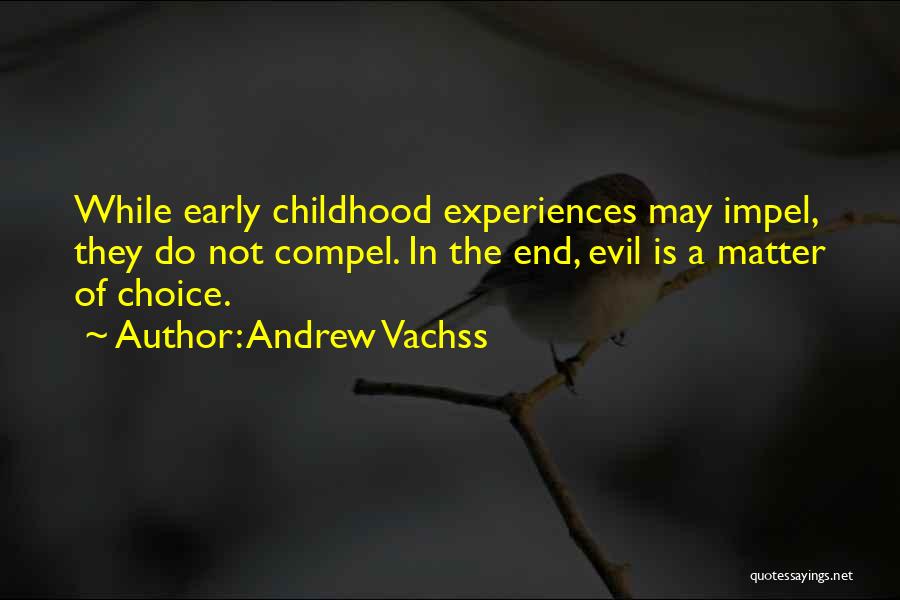 A Childhood's End Quotes By Andrew Vachss