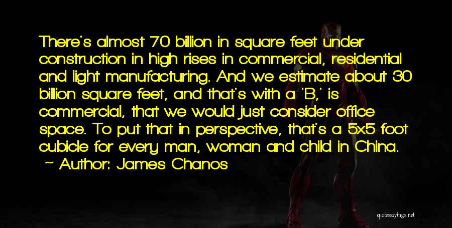 A Child's Feet Quotes By James Chanos