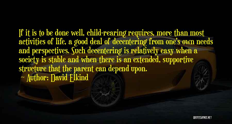 A Child's Perspective Quotes By David Elkind