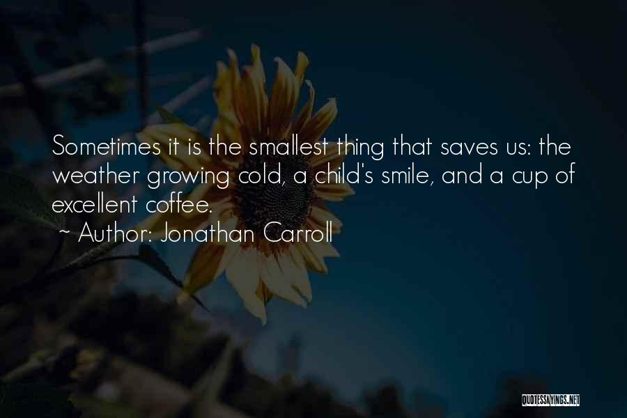 A Child's Smile Quotes By Jonathan Carroll