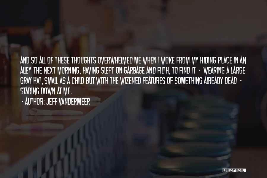 A Child's Thoughts Quotes By Jeff VanderMeer