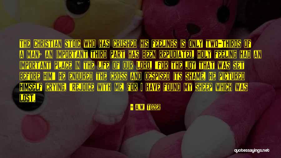 A Christian Joy Quotes By A.W. Tozer A Christian Joy Quotes By A.W. Tozer
