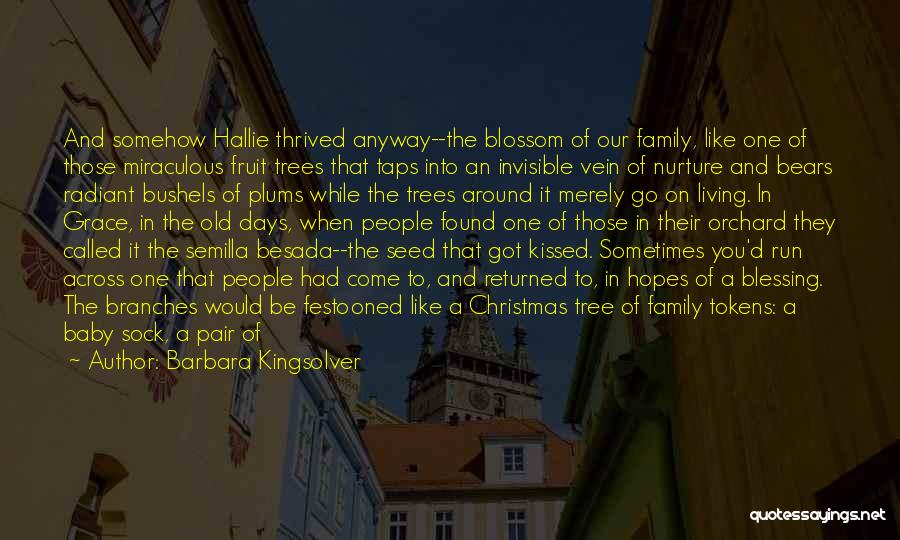 A Christmas Blessing Quotes By Barbara Kingsolver