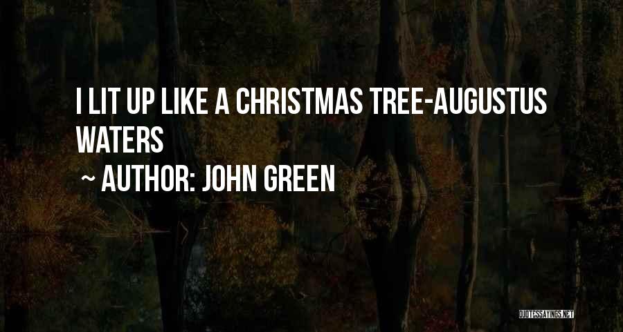 A Christmas Tree Quotes By John Green