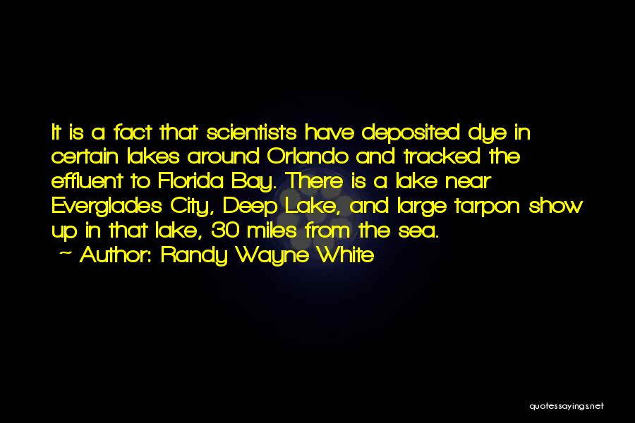 A City Quotes By Randy Wayne White