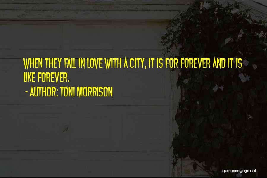 A City Quotes By Toni Morrison