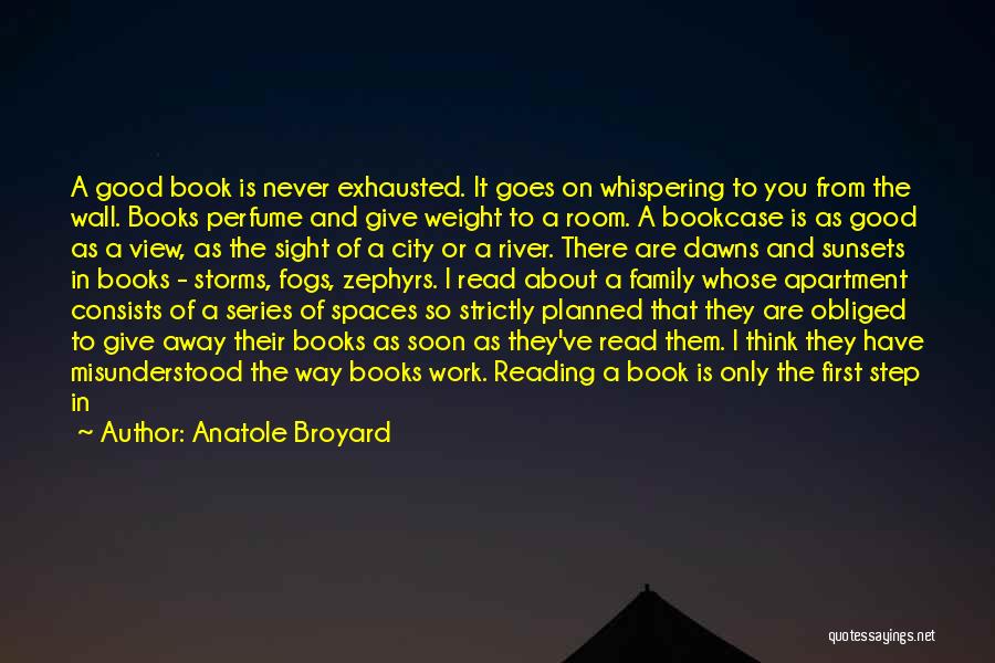 A City View Quotes By Anatole Broyard