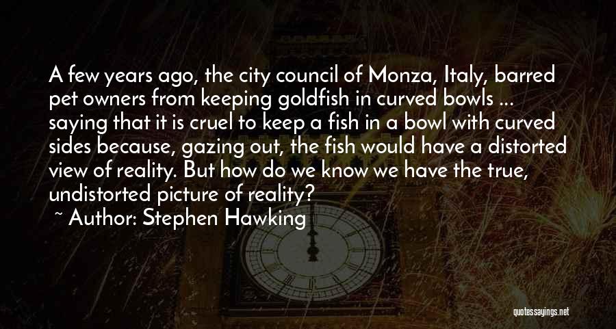 A City View Quotes By Stephen Hawking