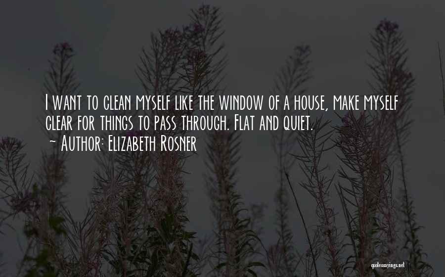 A Clean House Quotes By Elizabeth Rosner