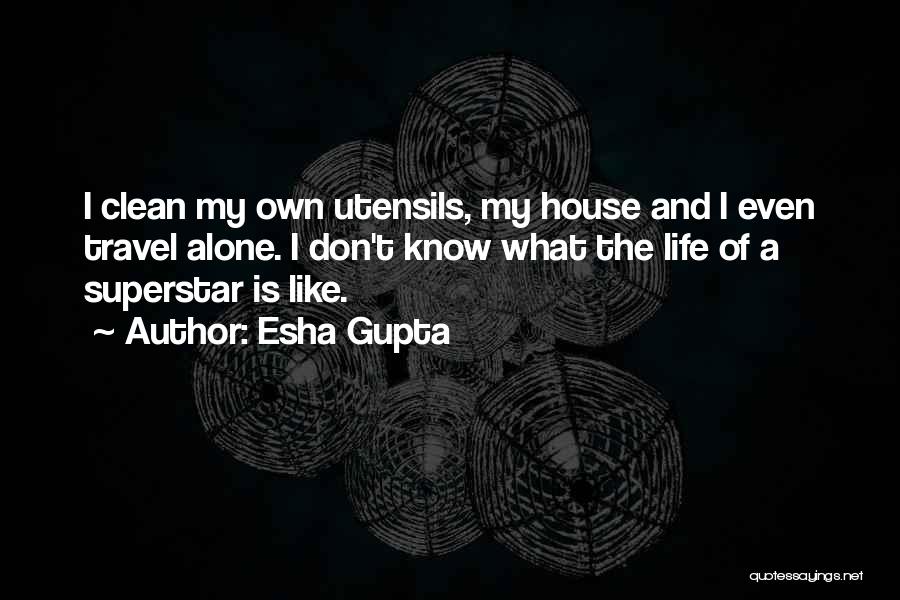 A Clean House Quotes By Esha Gupta