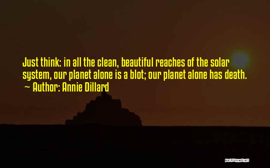 A Clean Planet Quotes By Annie Dillard
