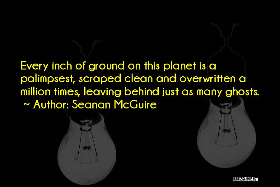 A Clean Planet Quotes By Seanan McGuire