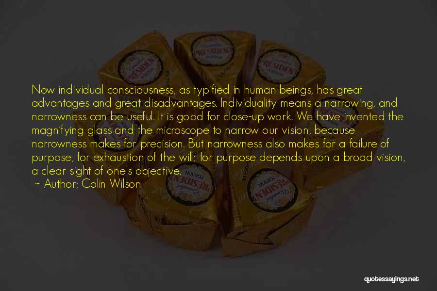 A Clear Vision Quotes By Colin Wilson