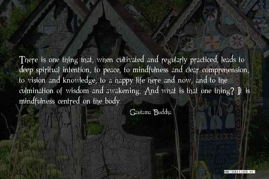 A Clear Vision Quotes By Gautama Buddha A Clear Vision Quotes By Gautama Buddha
