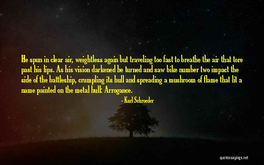 A Clear Vision Quotes By Karl Schroeder A Clear Vision Quotes By Karl Schroeder