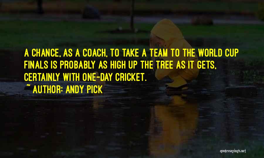 A Coach Quotes By Andy Pick