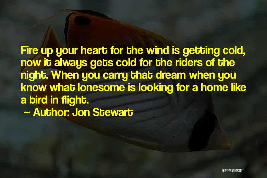 A Cold Heart Quotes By Jon Stewart